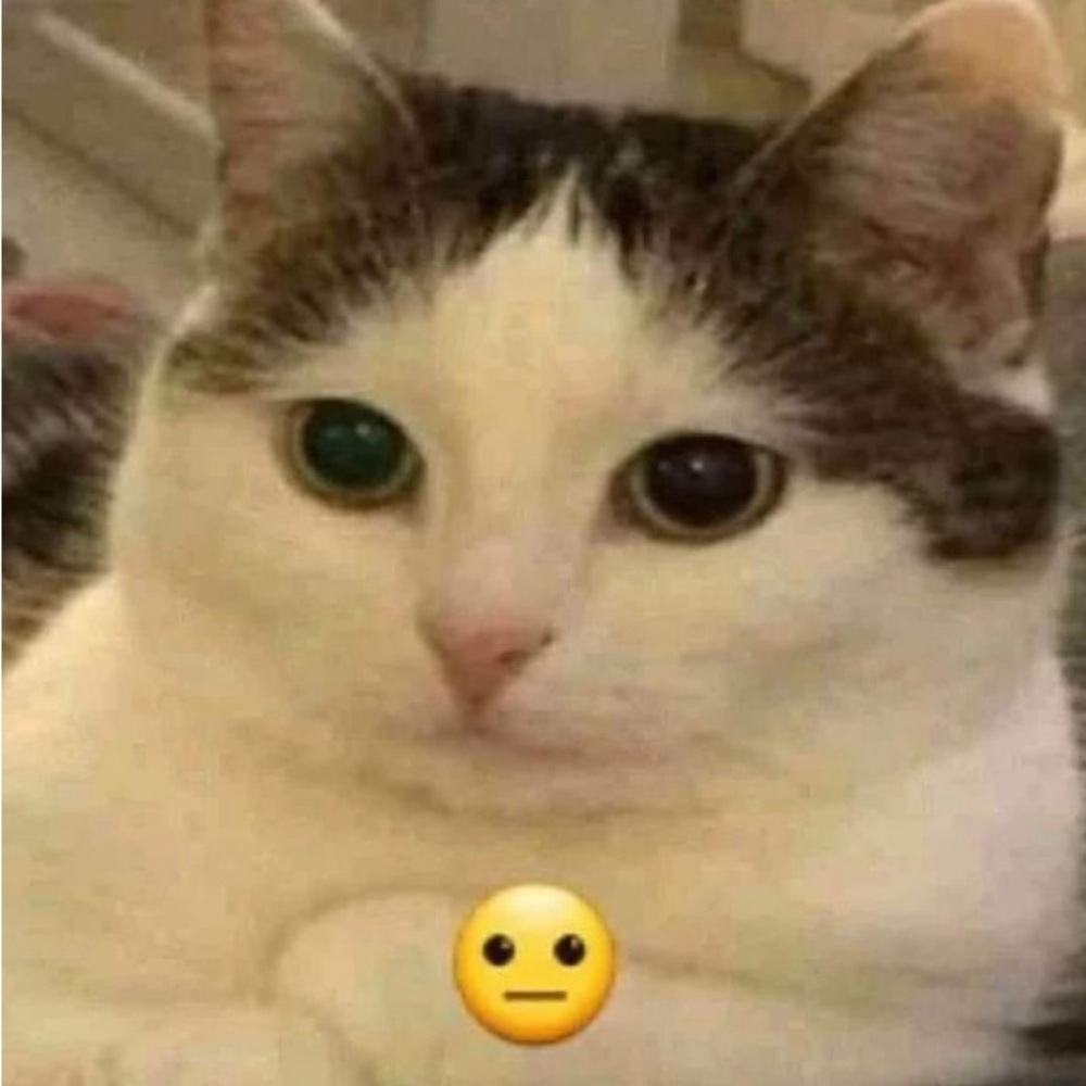 Meet your Posher, Thanh an